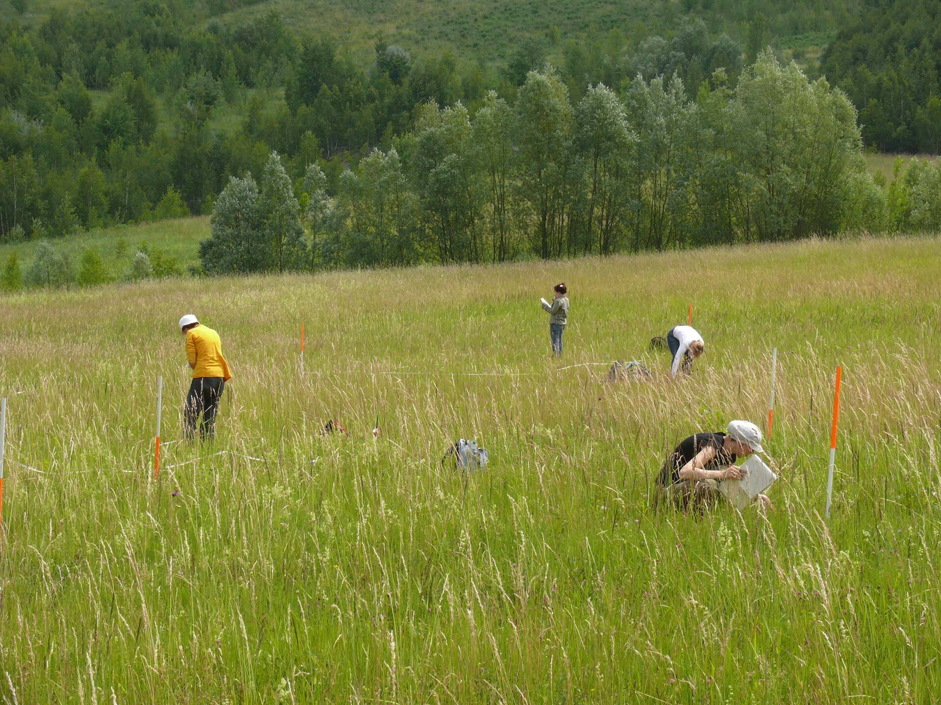 Knowledge on Ecological Restoration to Maximize Benefits for Nature and People