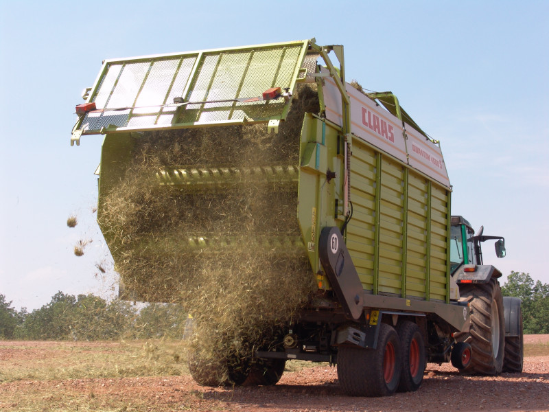 Distribution of green hay with loader wagon for grassland restoration- Germany