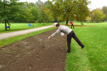 Establishment of flowering strips in city park Stromovka, Budweis- Czech Republic