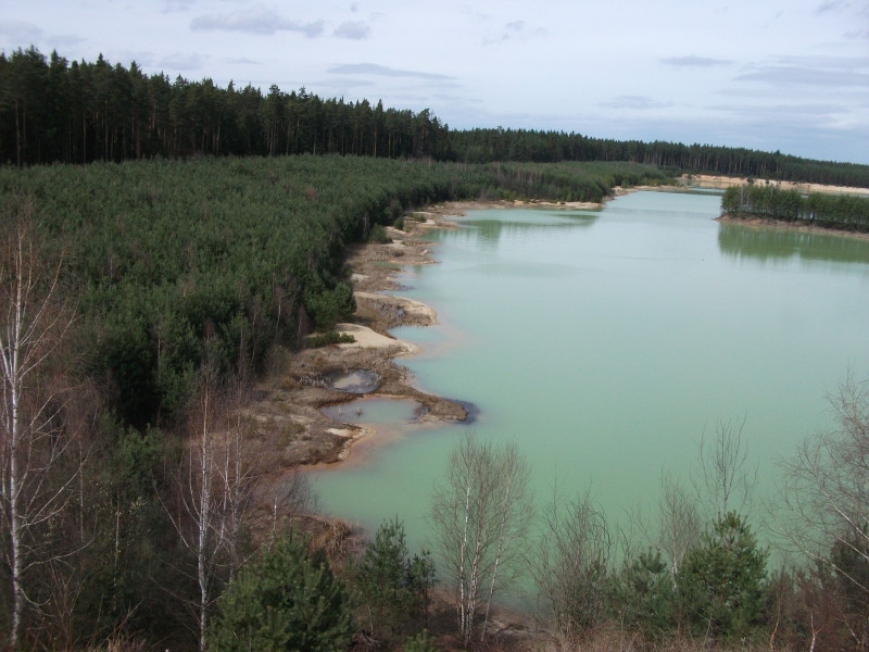 Example of near-natural restoration at shorline in contrast with forestry reclamation- Czech Republic