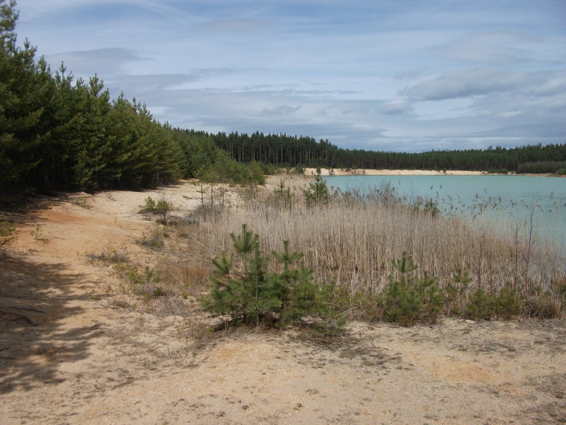 Near-natural restoration of sand pit- Czech Republic